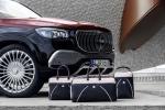 Mercedes-Maybach GLS600 4Matic 2020 года (WW)